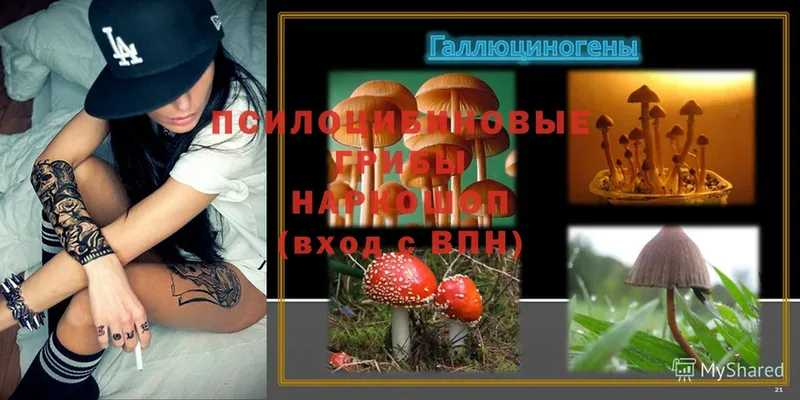 Псилоцибиновые грибы Magic Shrooms  Барыш 